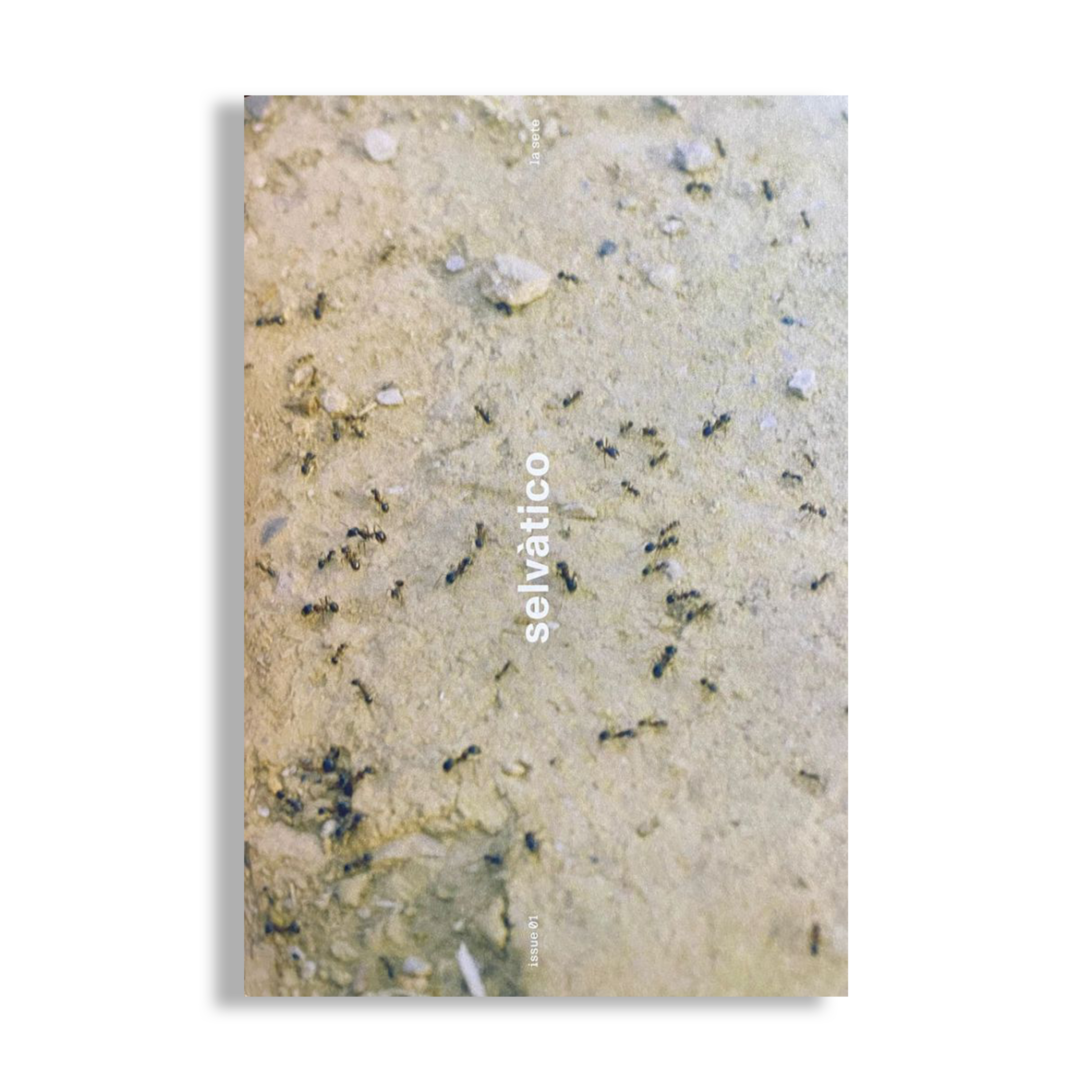 Selvàtico n.1