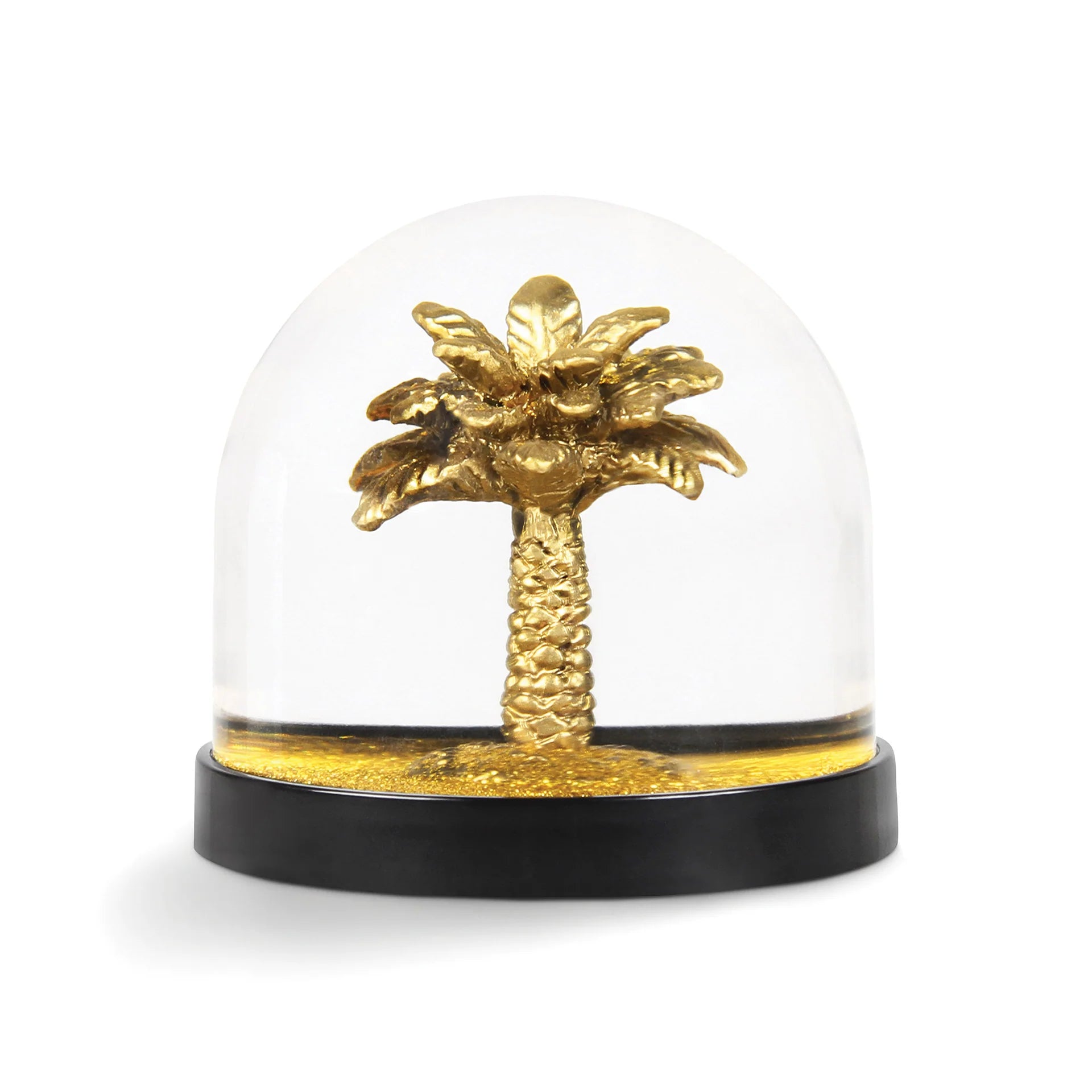 Wonderball palm tree