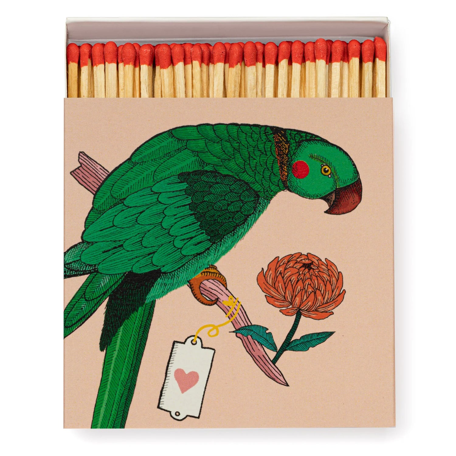 Parrot Matches
