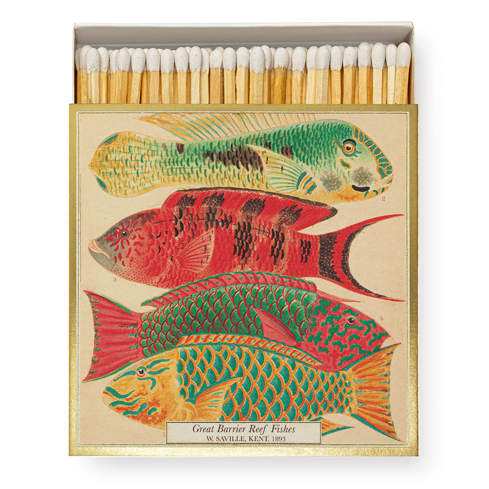 REEF FISHES