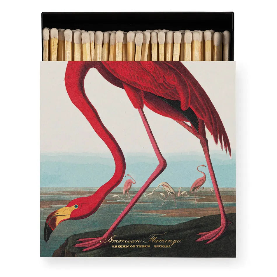 American Flamingo Matches