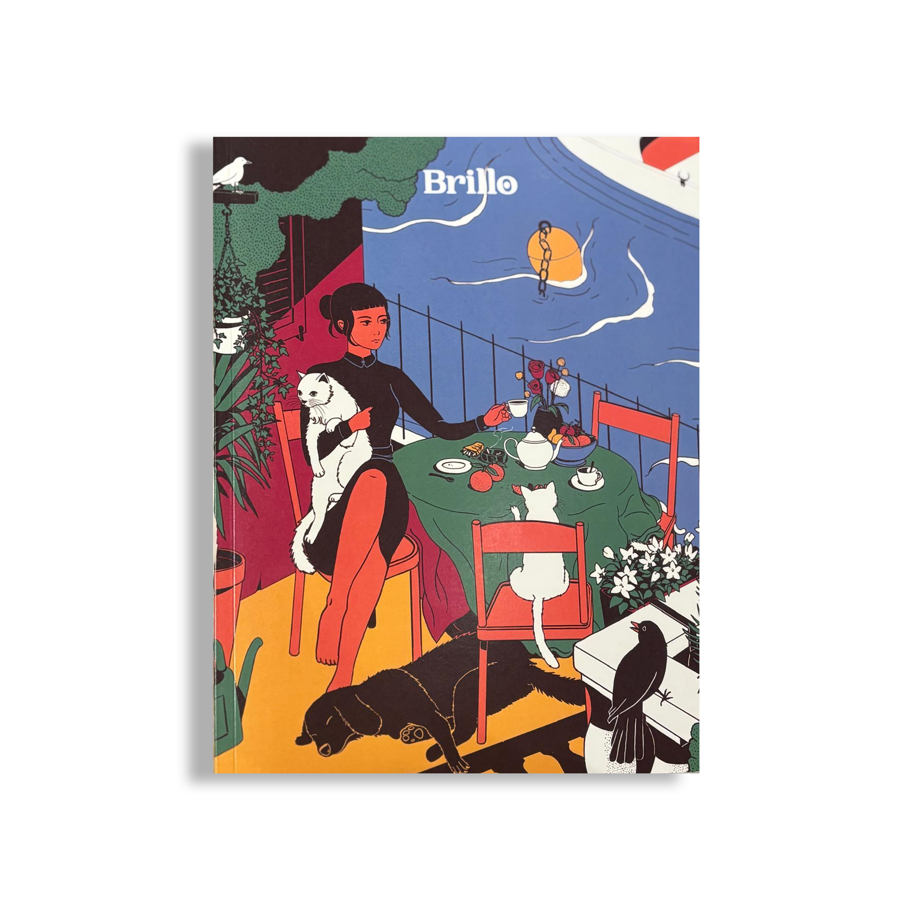 BRILLO N. 20