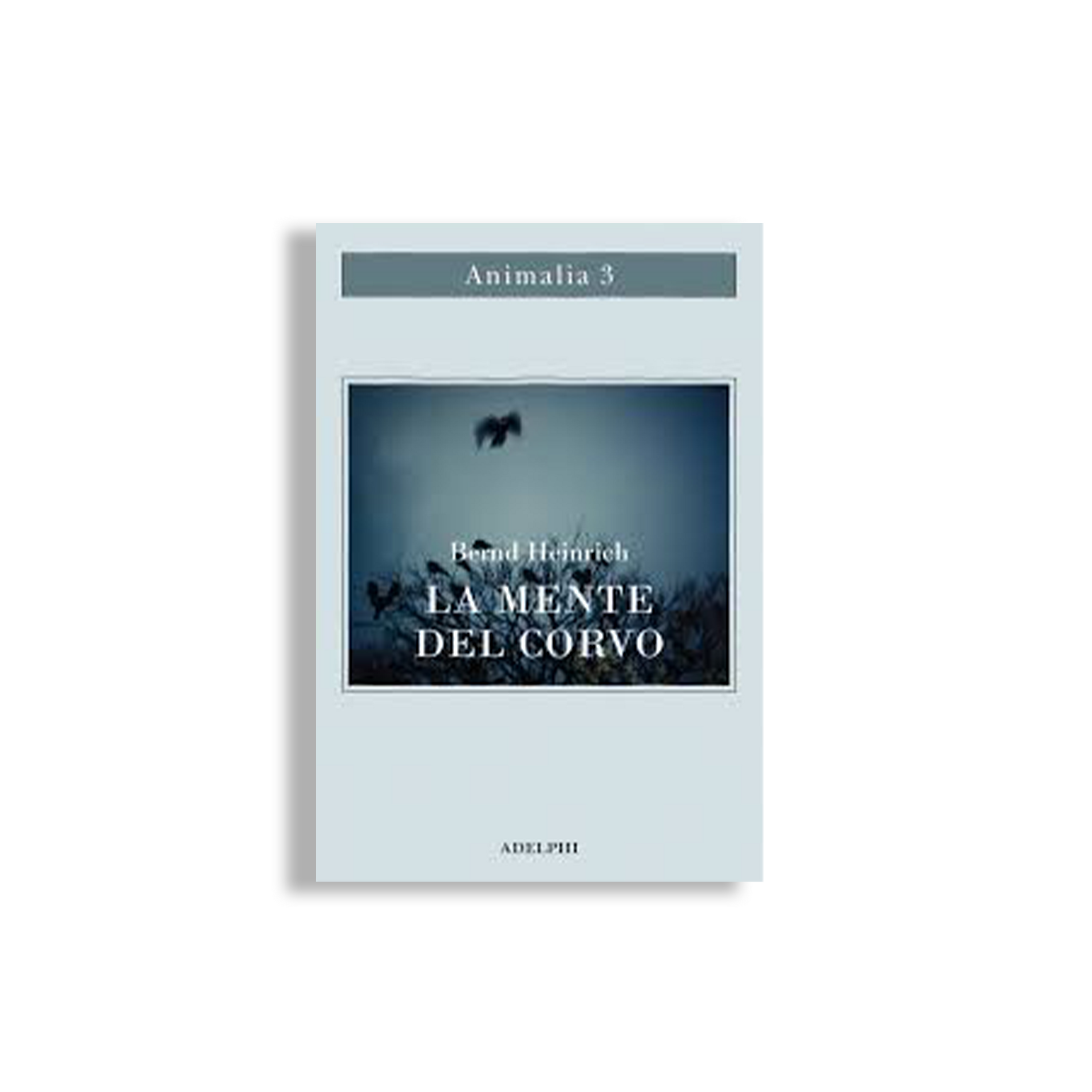 La mente del corvo