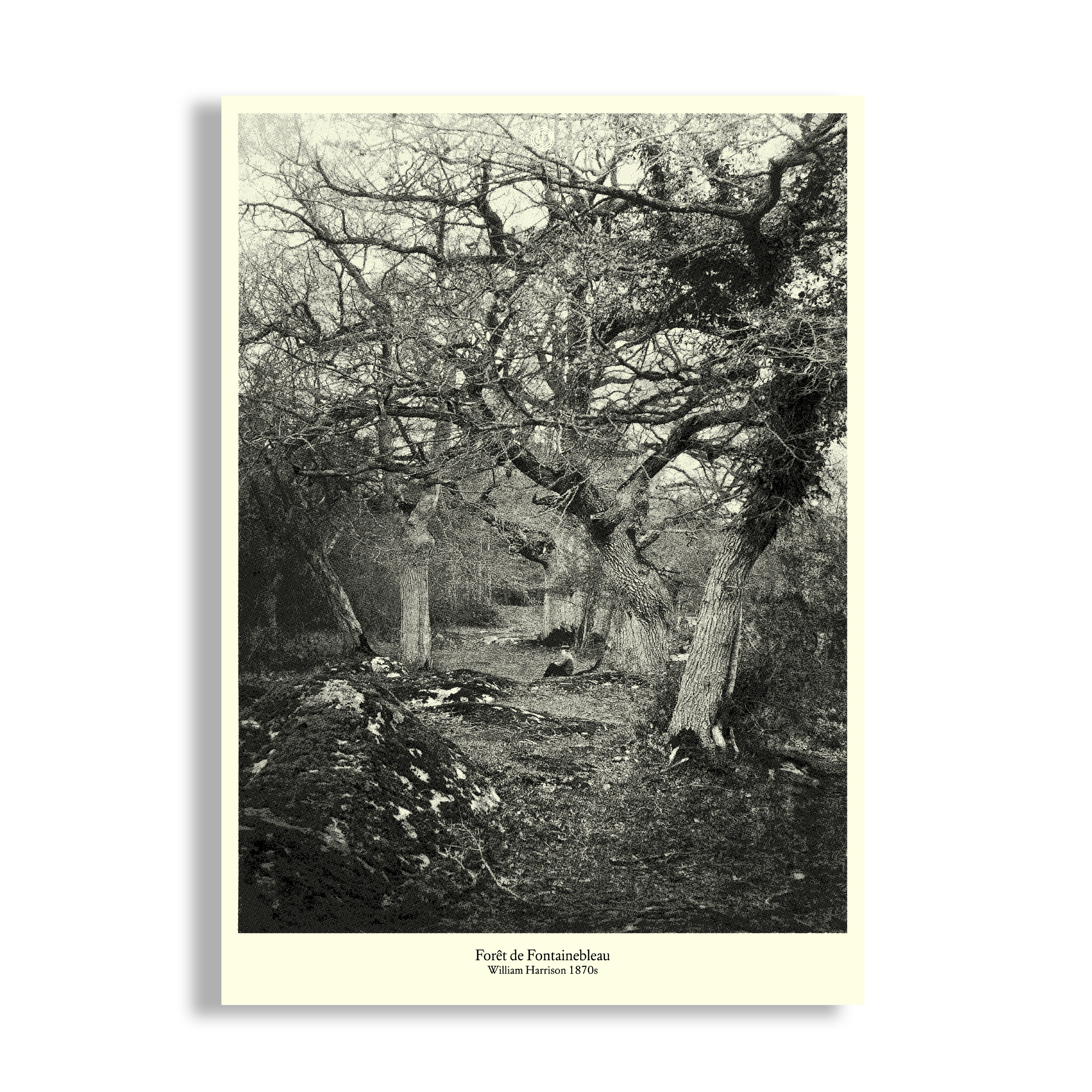 POSTER A3 | FORESTA