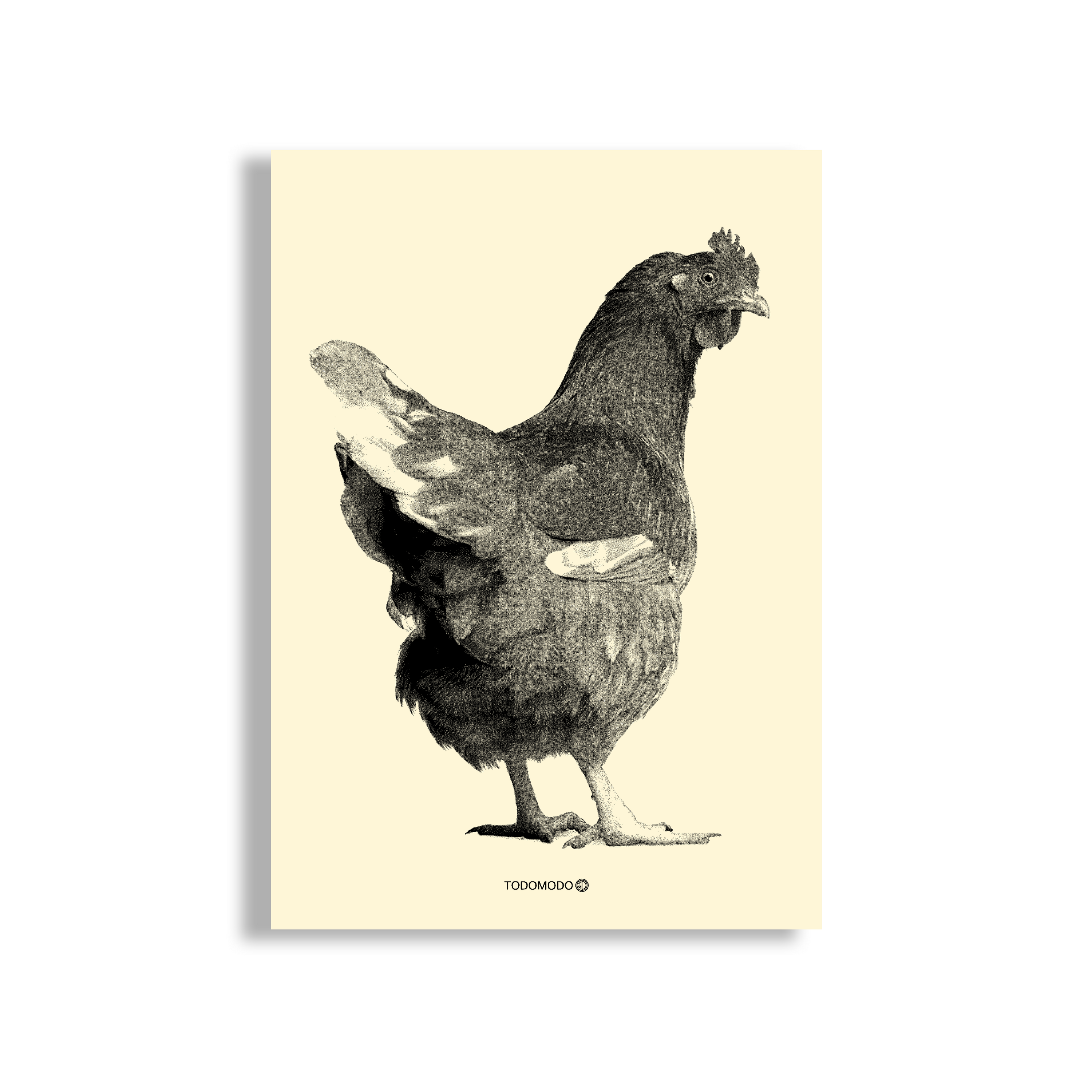 A3 Risoprint GALLINA