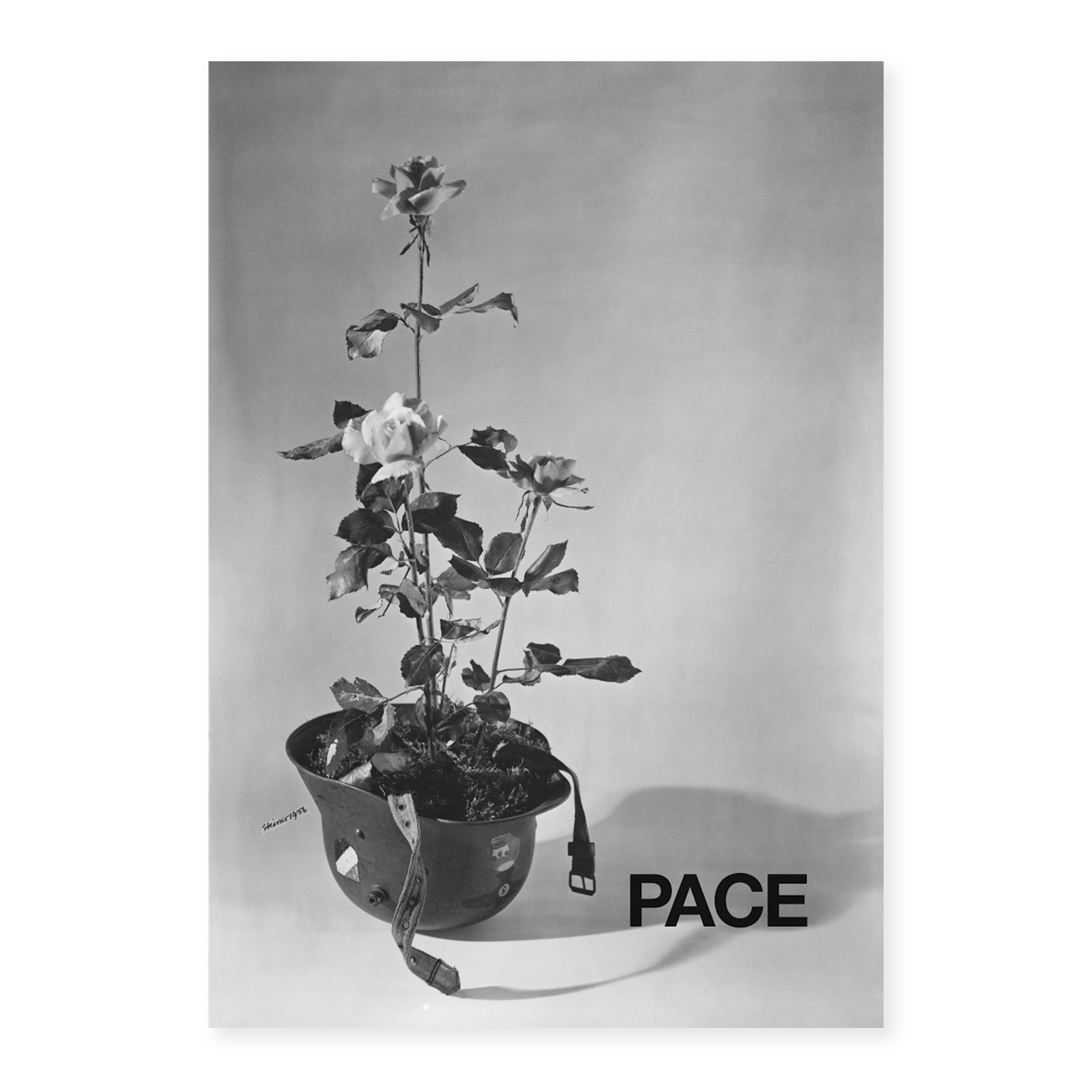 Manifesto per la Pace 1956-2004