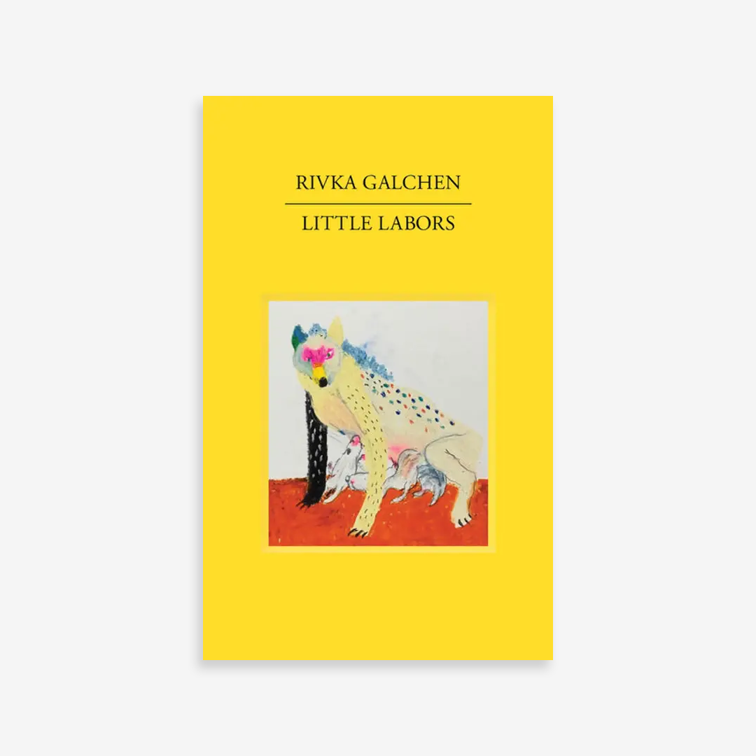 Little Labors. Rivka Galchen