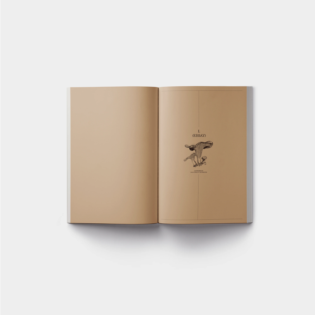 JOHN CAGE. A MYCOLOGICAL FORAY