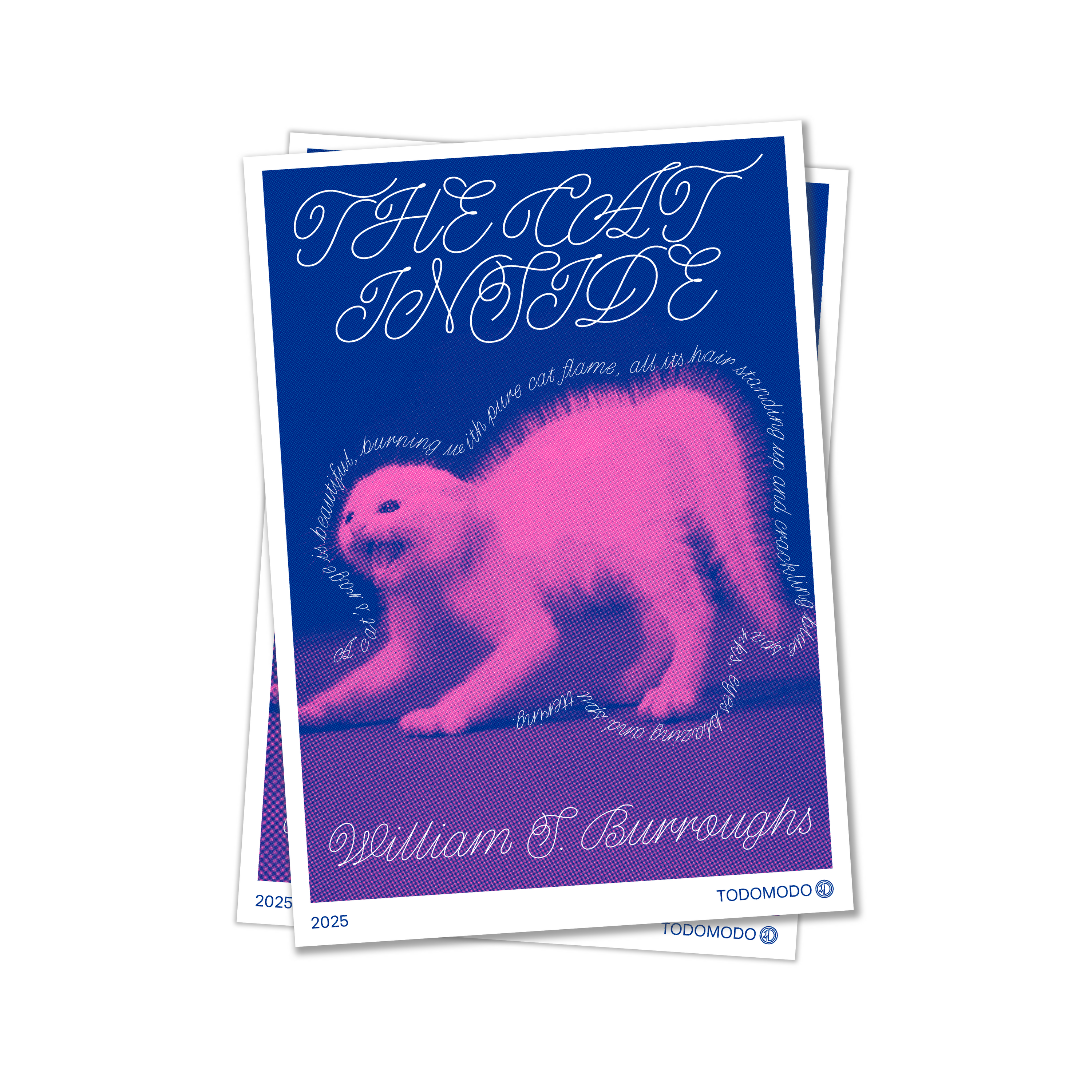 Poster Cat | A3