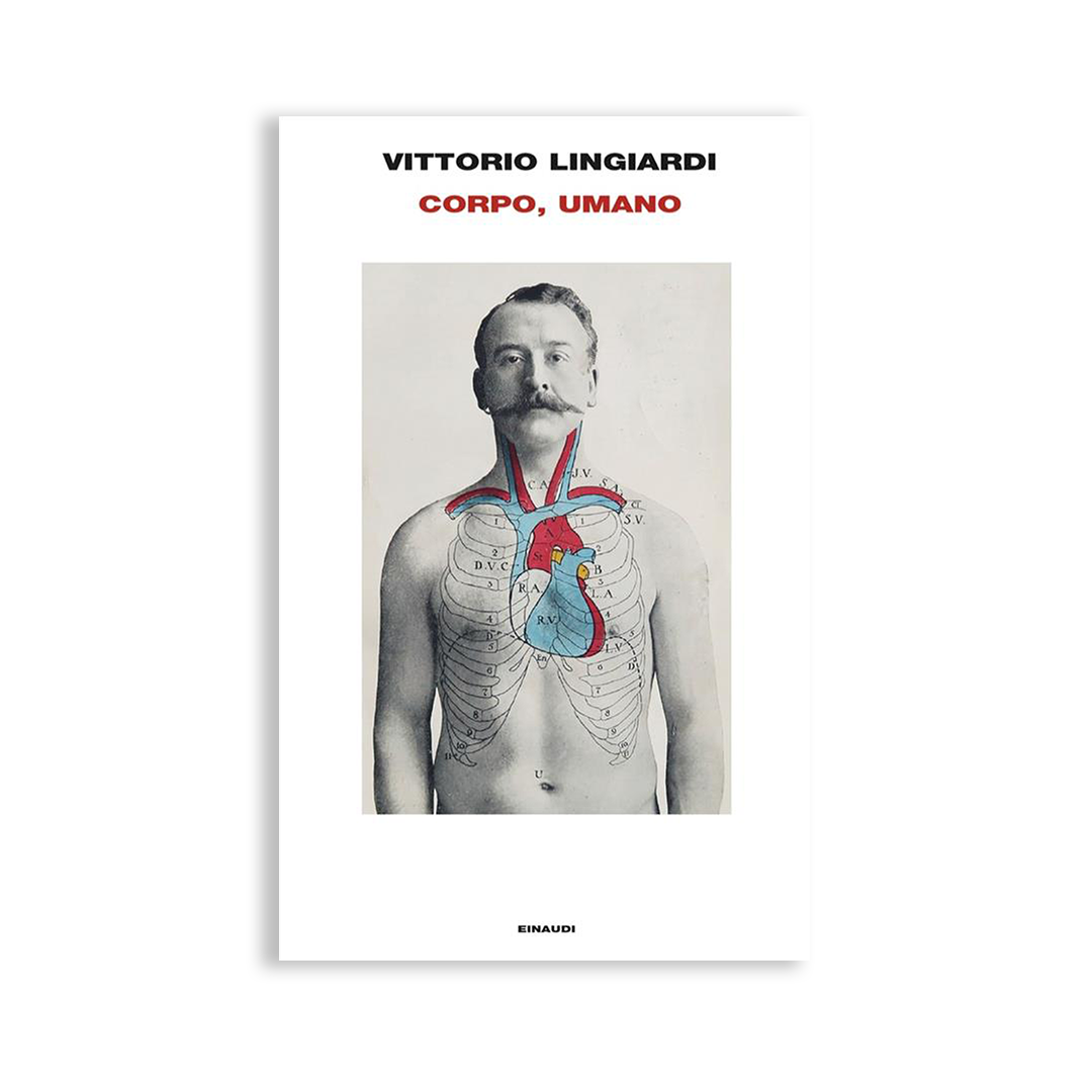 Corpo, umano