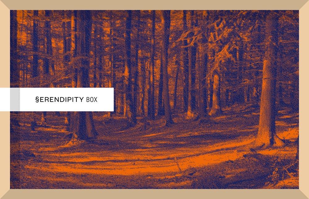 SERENPIDITY BOX. CAMMINARE - Todo Modo