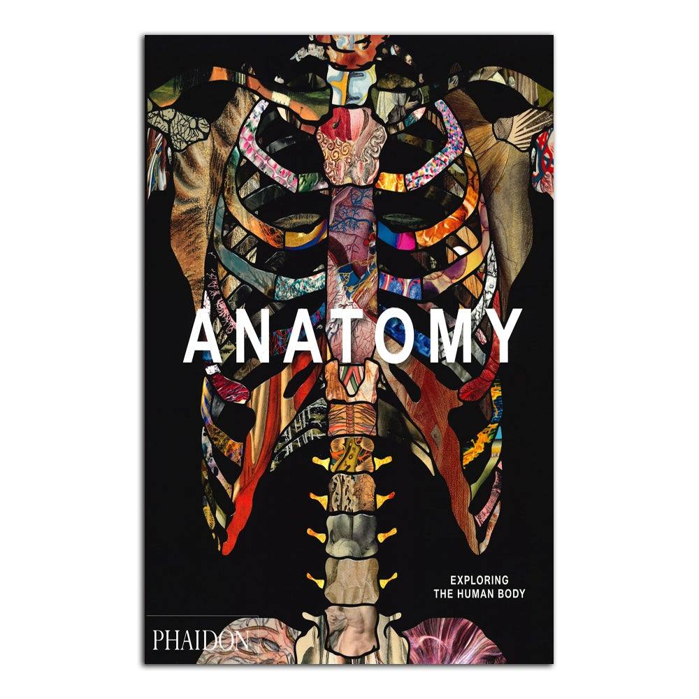 Anatomy. Exploring the human body - Todo Modo