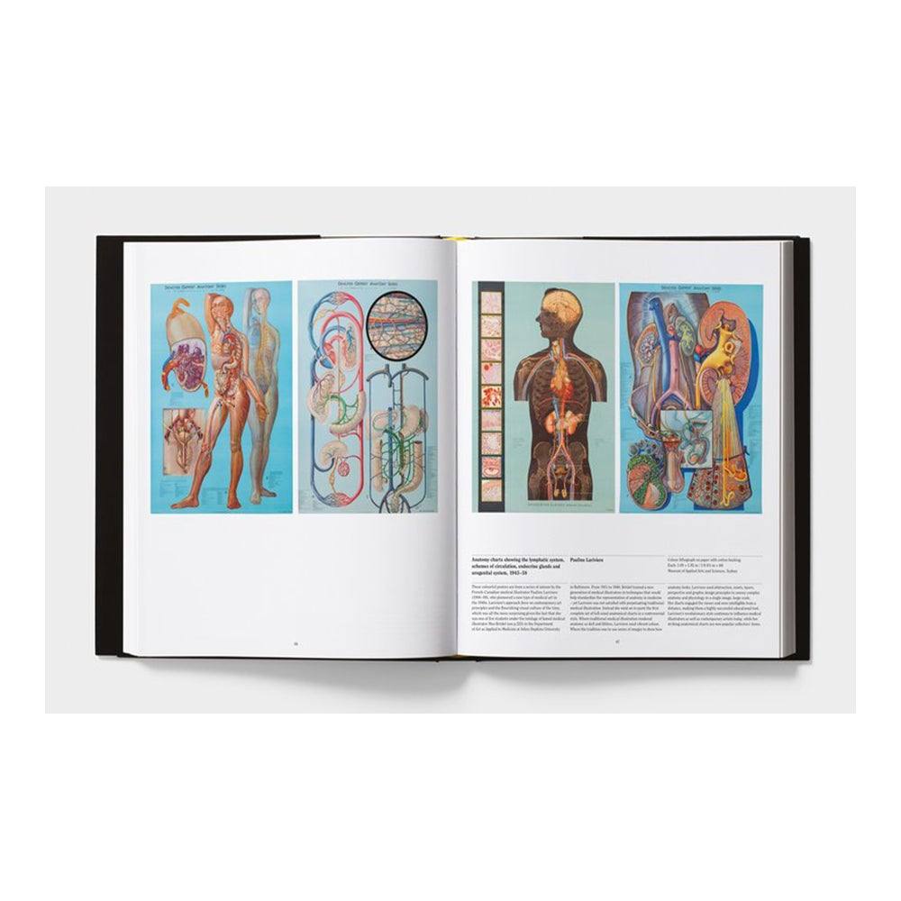 Anatomy. Exploring the human body - Todo Modo