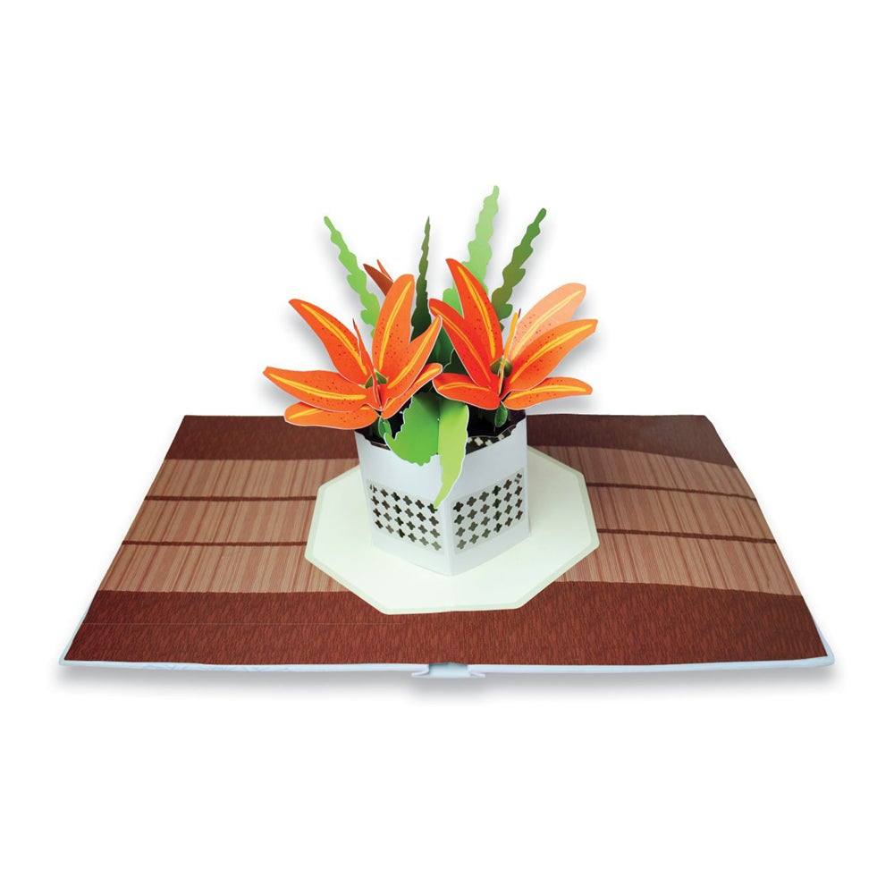 Paper Blossom - Todo Modo