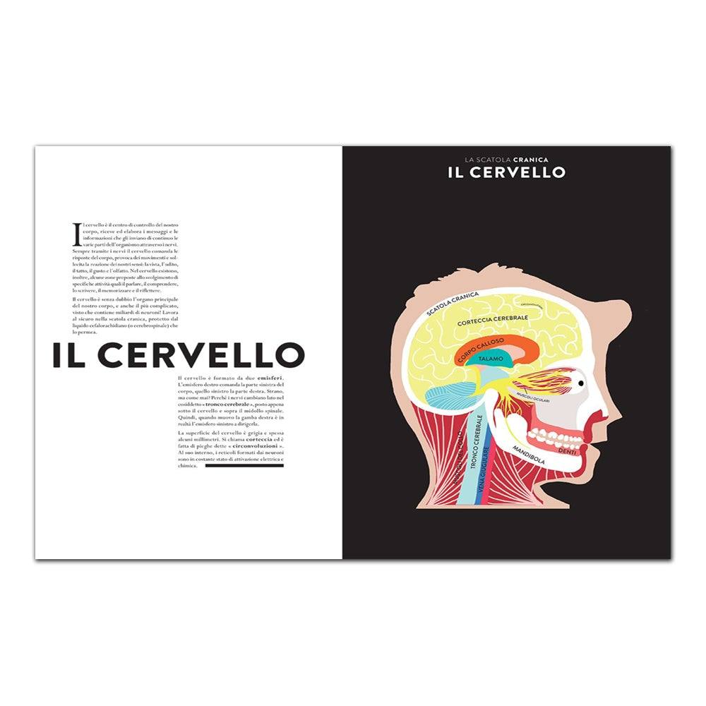 Anatomia. Sezioni e animazioni per osservare il corpo da vicino - Todo Modo