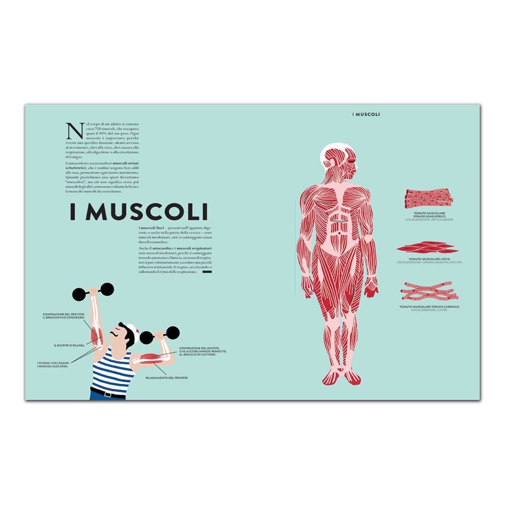 Anatomia. Sezioni e animazioni per osservare il corpo da vicino - Todo Modo