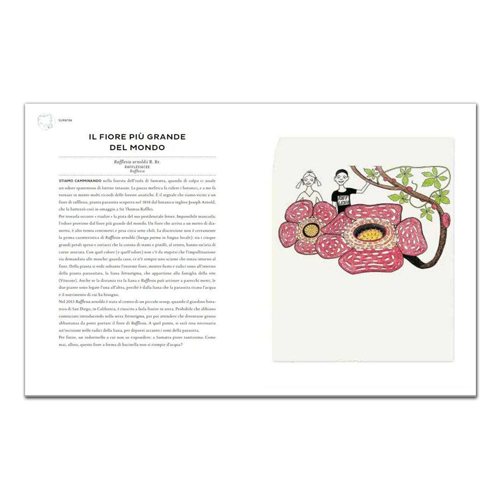 Atlante di botanica poetica. Ediz. illustrata - Todo Modo