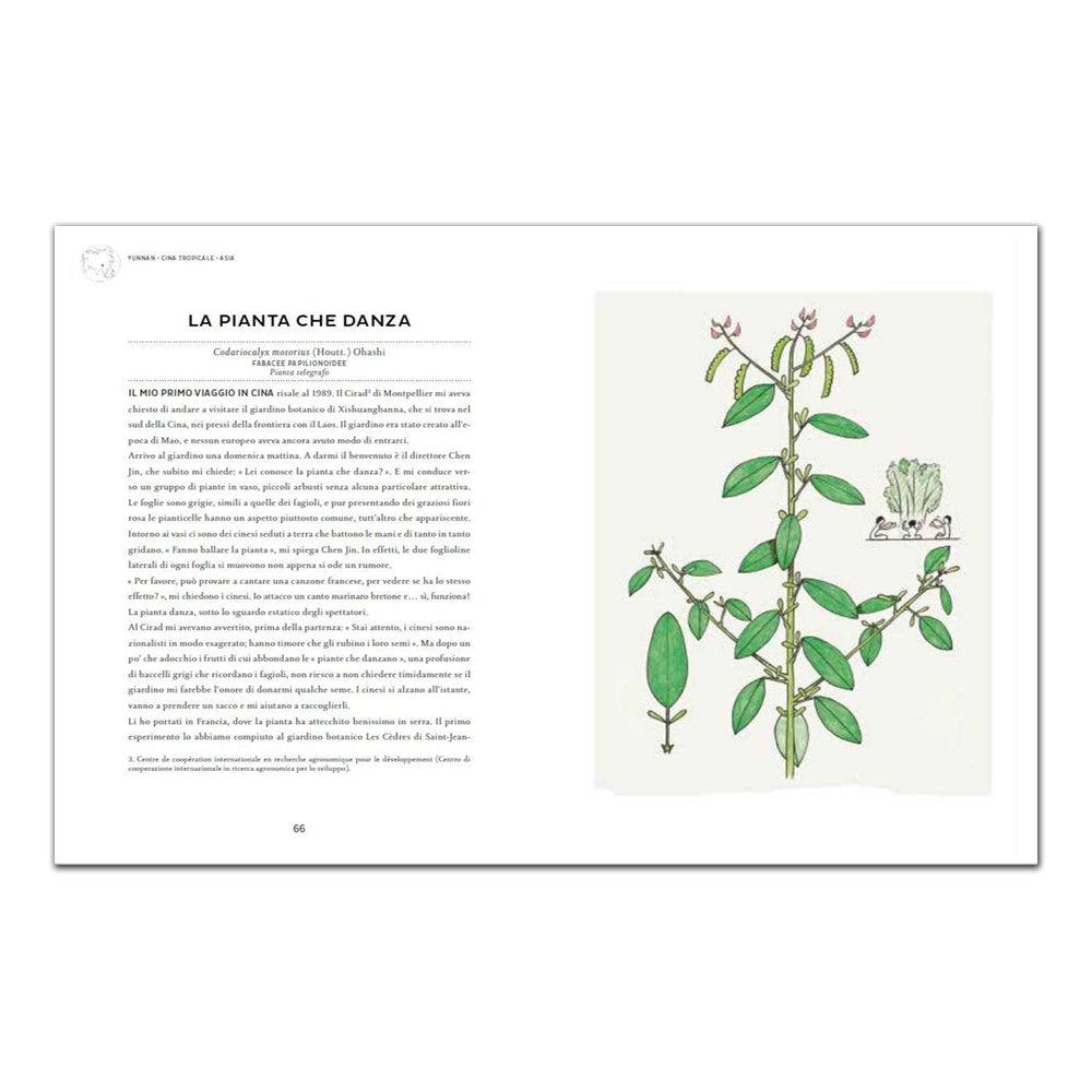 Atlante di botanica poetica. Ediz. illustrata - Todo Modo