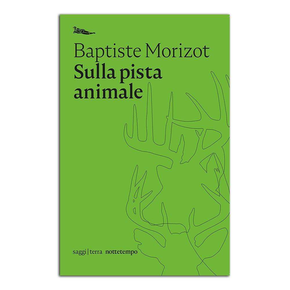 Sulla pista animale - Todo Modo
