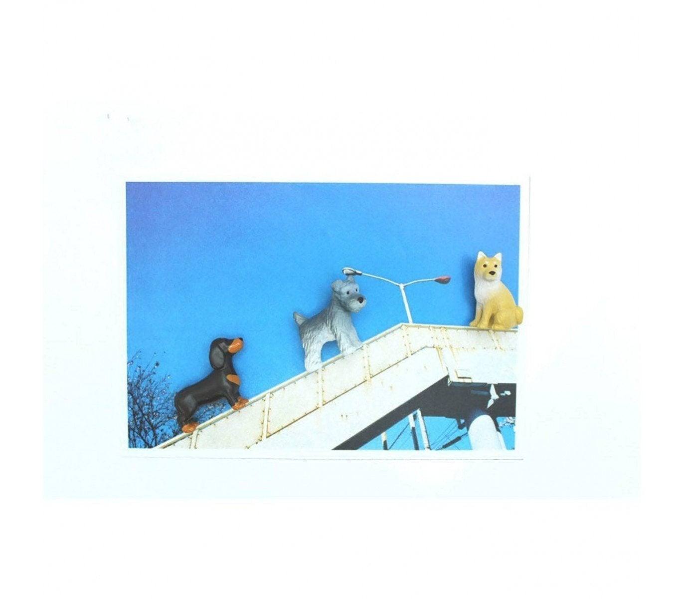 Midori Mini Magnet Dog - Todo Modo