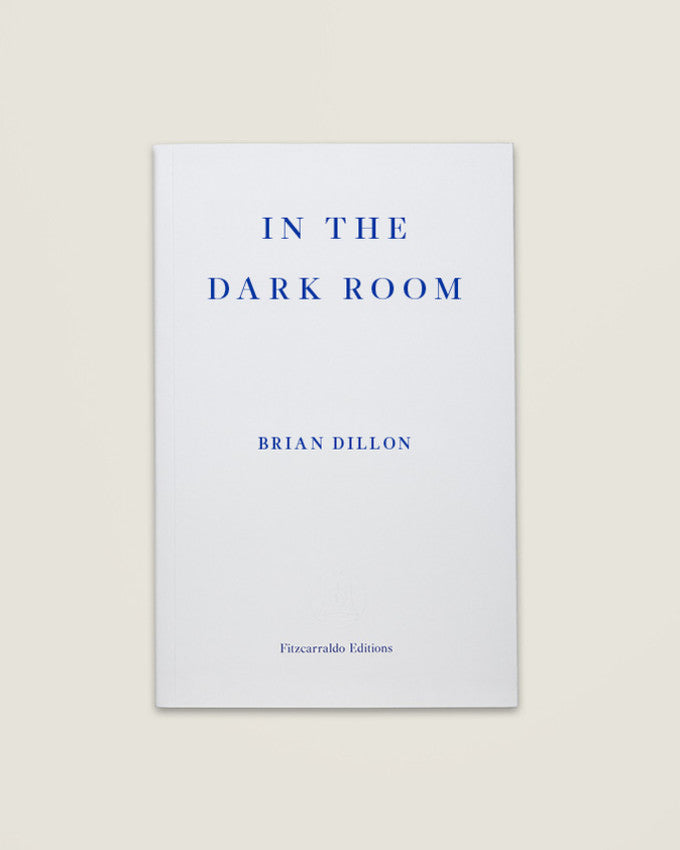 IN THE DARK ROOM. Brian Dillon