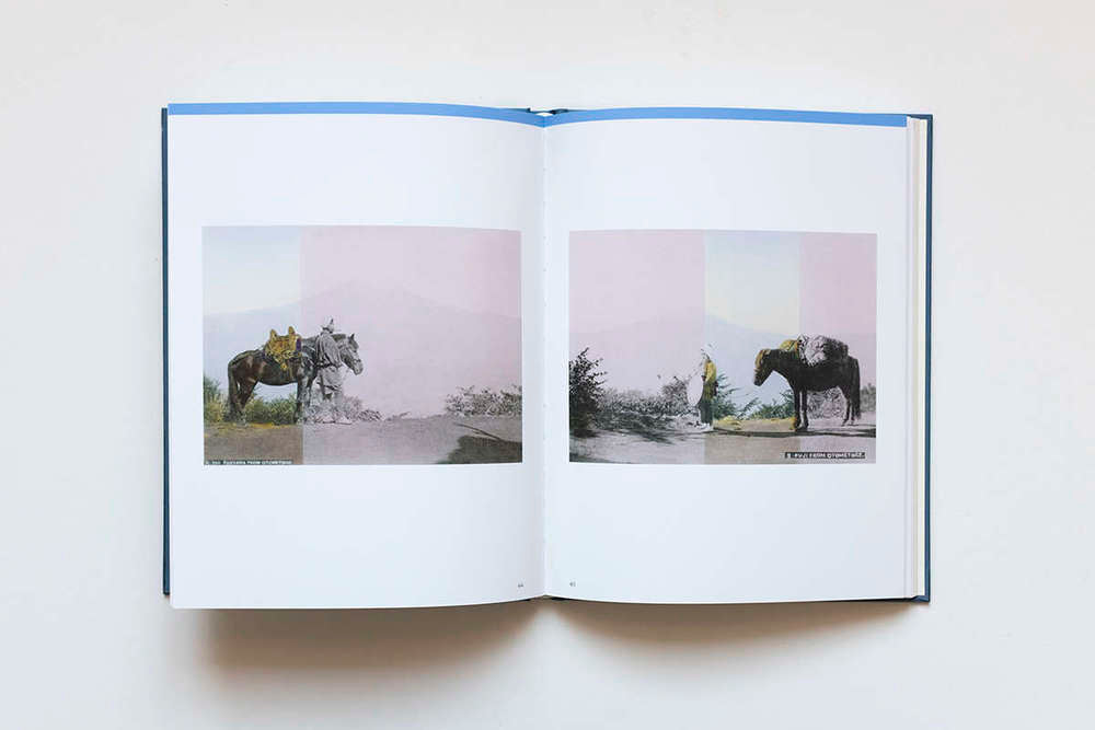 Yama no Shashin. Linda Fregni Nagler