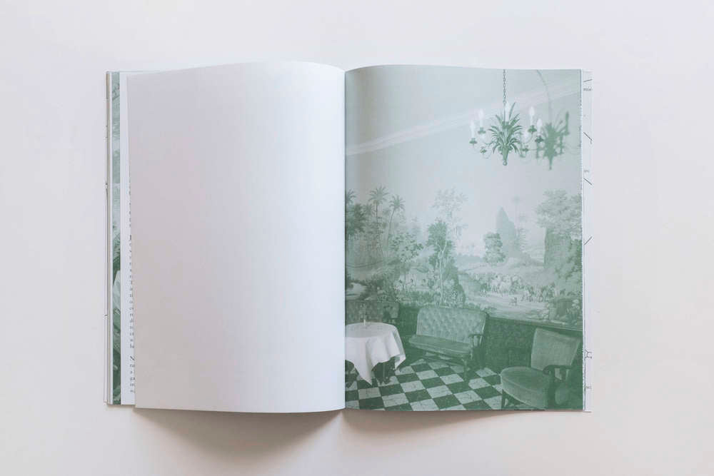Palm Tree Studies in South Tyrol and Beyond. Nanna Debois Buhl