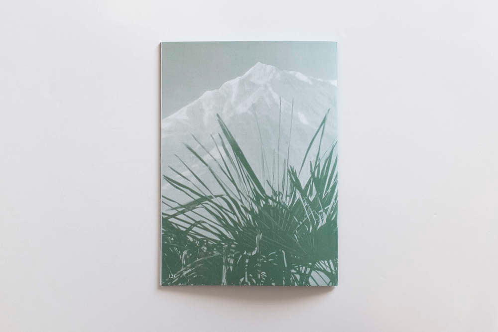 Palm Tree Studies in South Tyrol and Beyond. Nanna Debois Buhl