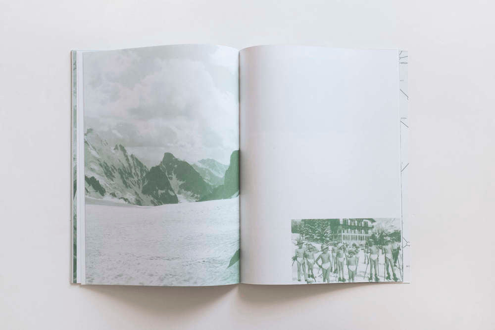 Palm Tree Studies in South Tyrol and Beyond. Nanna Debois Buhl