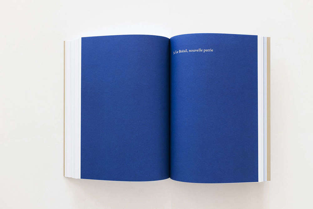 Hercule Florence. Le Nouveau Robinson (French Ed.) A cura di Linda Fregni Nagler