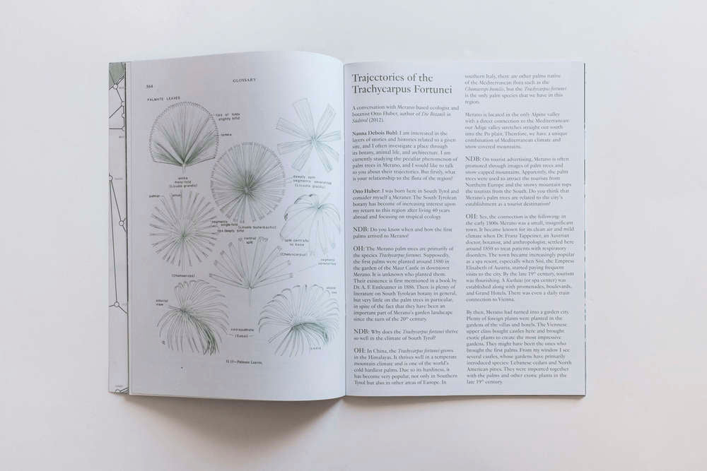 Palm Tree Studies in South Tyrol and Beyond. Nanna Debois Buhl