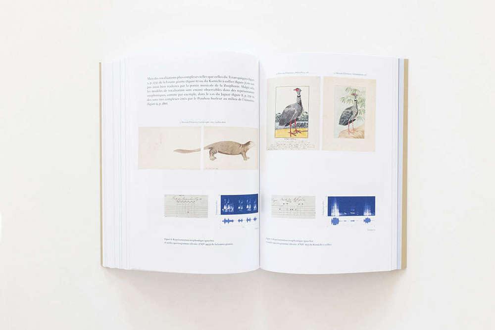 Hercule Florence. Le Nouveau Robinson (French Ed.) A cura di Linda Fregni Nagler