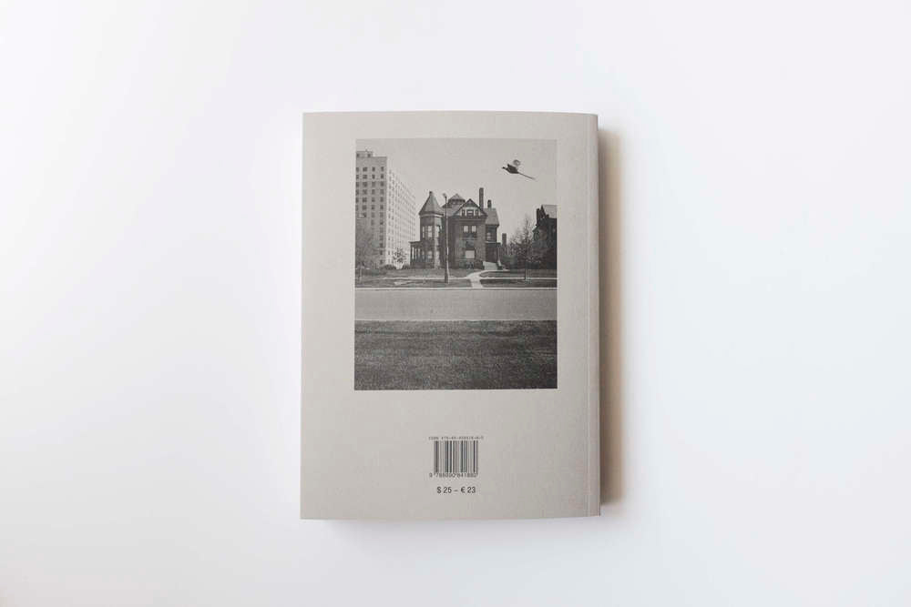 Detour in Detroit. Francesca Berardi, Antonio Rovaldi