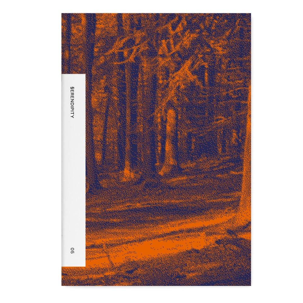 CAMMINARE - Todo Modo