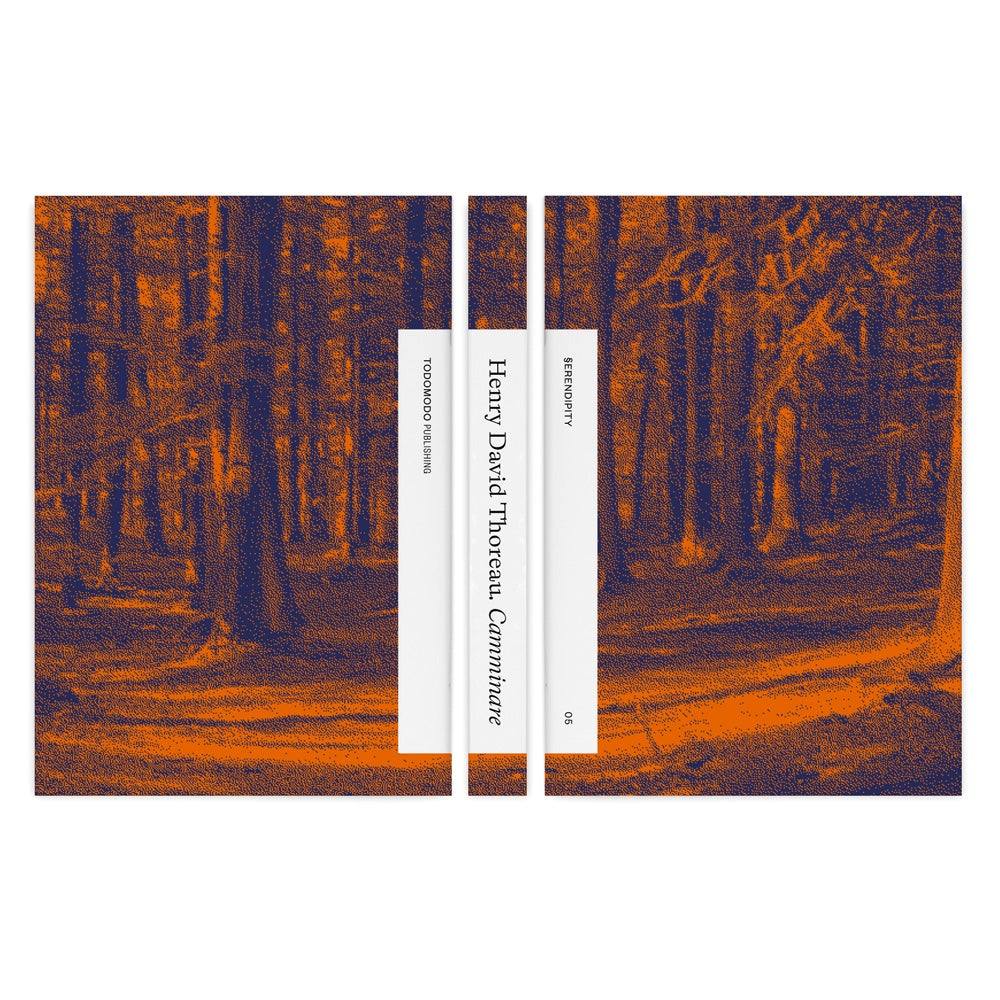 CAMMINARE - Todo Modo